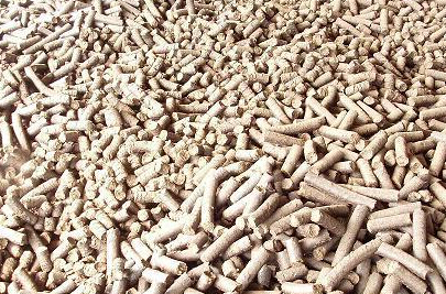 该图是使用吉姆克牌小型鱼饲料颗粒机加工出来的颗粒饲料图片成品